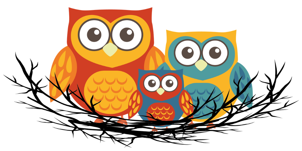 The Health Nest Logo - Family Health Clinic and Wellness Center in Vernon, British Columbia, Canada